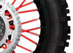 Number Plate Holder MY2016/17